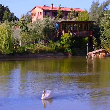 Cameli Farm stay *